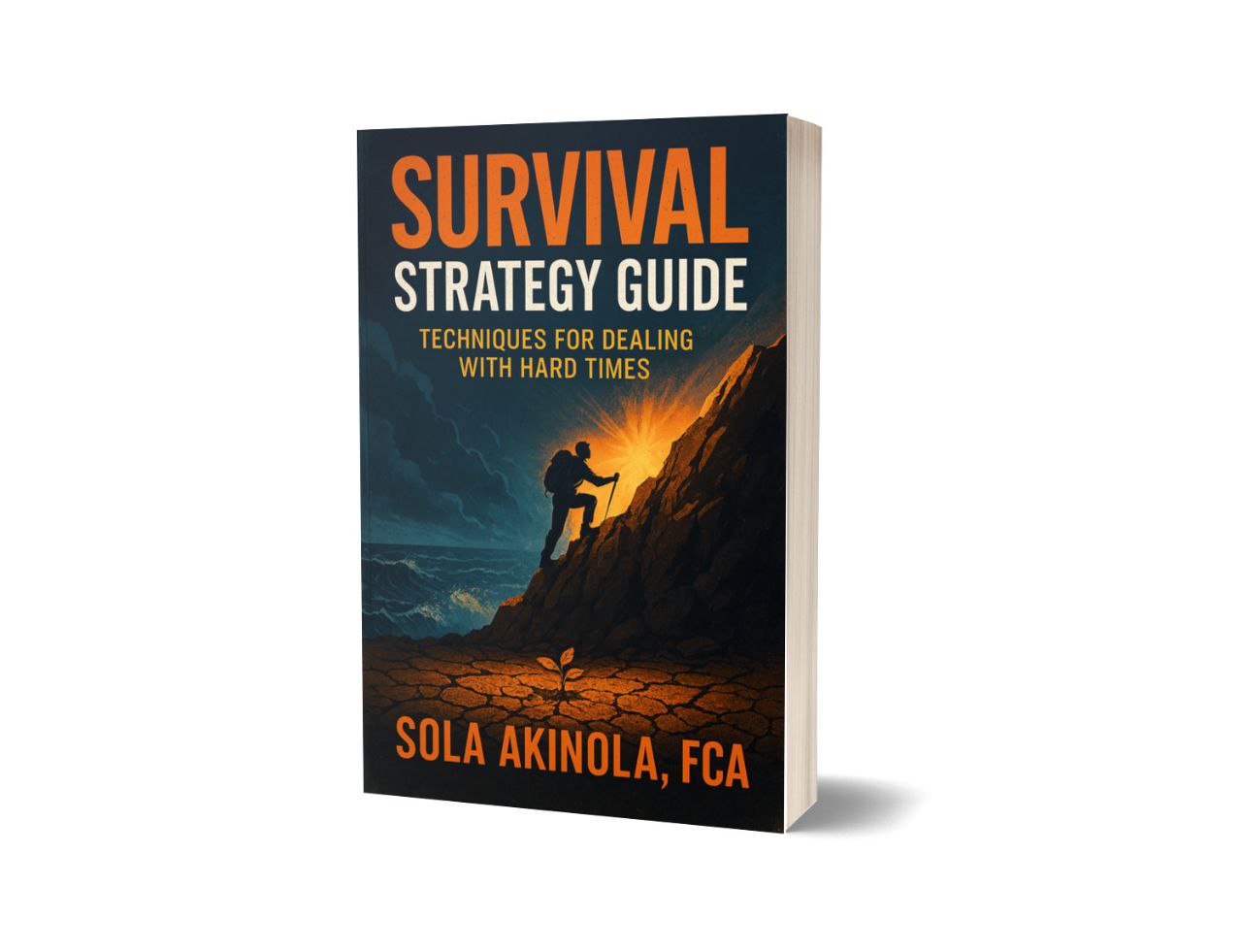 Survival Strategy Guide: Techniques For Dealing With Hard Times